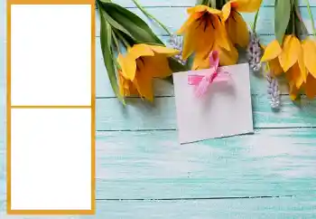 범주에서의 사진 효과 여성 프레임 № 206196