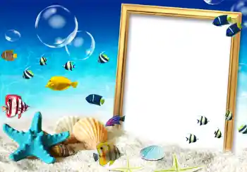 범주에서의 사진 효과 여성 프레임 № 207