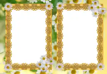 범주에서의 사진 효과 여성 프레임 № 21191