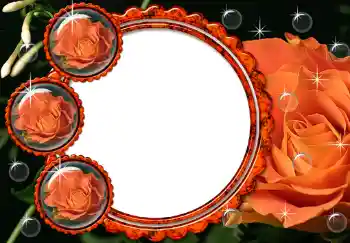 범주에서의 사진 효과 여성 프레임 № 211