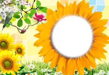 범주에서의 사진 효과 여성 프레임 № 212