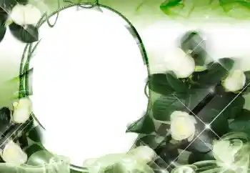 범주에서의 사진 효과 여성 프레임 № 2159