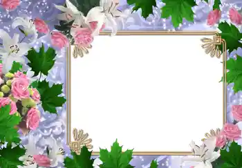 범주에서의 사진 효과 여성 프레임 № 215