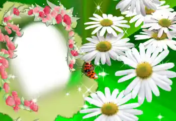 범주에서의 사진 효과 여성 프레임 № 2160