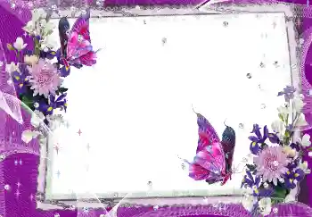 범주에서의 사진 효과 여성 프레임 № 2162