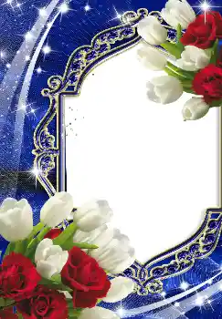 범주에서의 사진 효과 여성 프레임 № 2166