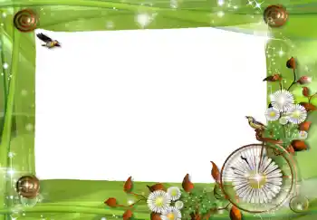 범주에서의 사진 효과 여성 프레임 № 216