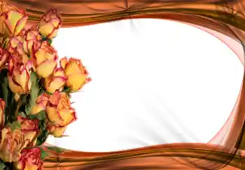 범주에서의 사진 효과 여성 프레임 № 2170