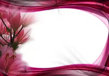 범주에서의 사진 효과 여성 프레임 № 2172