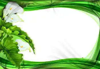 범주에서의 사진 효과 여성 프레임 № 2177