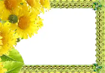 범주에서의 사진 효과 여성 프레임 № 217