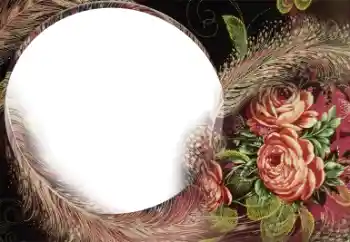 범주에서의 사진 효과 여성 프레임 № 22185