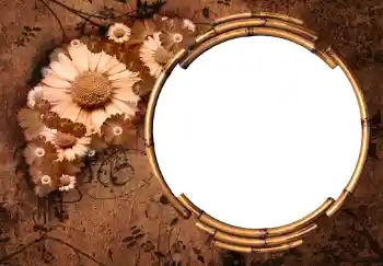 범주에서의 사진 효과 여성 프레임 № 225