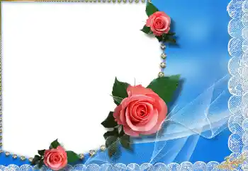 범주에서의 사진 효과 여성 프레임 № 2268