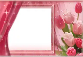 범주에서의 사진 효과 여성 프레임 № 227