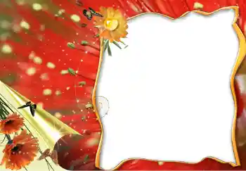 범주에서의 사진 효과 여성 프레임 № 228