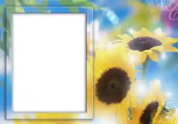 범주에서의 사진 효과 여성 프레임 № 231