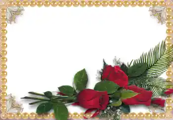 범주에서의 사진 효과 여성 프레임 № 234