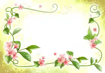 범주에서의 사진 효과 여성 프레임 № 2398