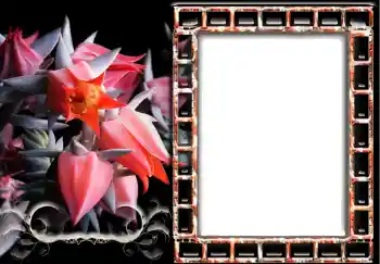 범주에서의 사진 효과 여성 프레임 № 241