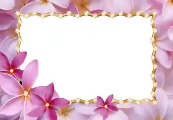 범주에서의 사진 효과 여성 프레임 № 24214