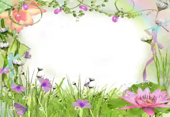 범주에서의 사진 효과 여성 프레임 № 24240