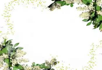 범주에서의 사진 효과 여성 프레임 № 24247