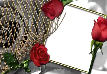 범주에서의 사진 효과 여성 프레임 № 242