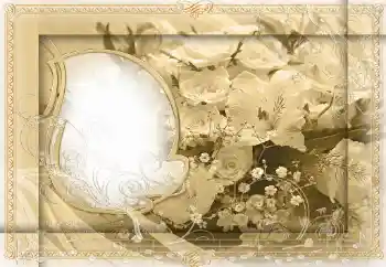 범주에서의 사진 효과 여성 프레임 № 24399