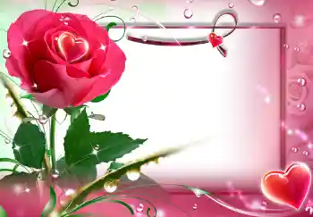 범주에서의 사진 효과 여성 프레임 № 243