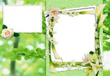 범주에서의 사진 효과 여성 프레임 № 24444