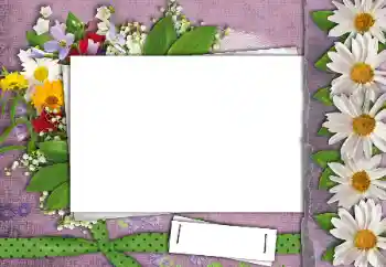 범주에서의 사진 효과 여성 프레임 № 24462