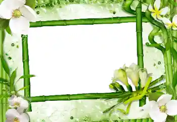 범주에서의 사진 효과 여성 프레임 № 24470