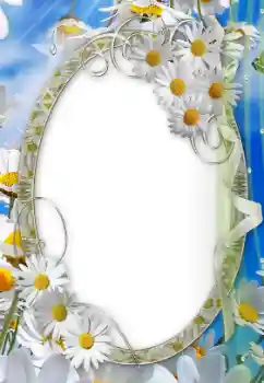 범주에서의 사진 효과 여성 프레임 № 24499