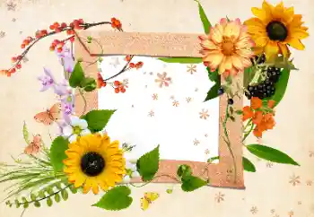 범주에서의 사진 효과 여성 프레임 № 24511