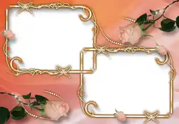 범주에서의 사진 효과 여성 프레임 № 24519