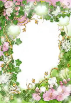 범주에서의 사진 효과 여성 프레임 № 24523