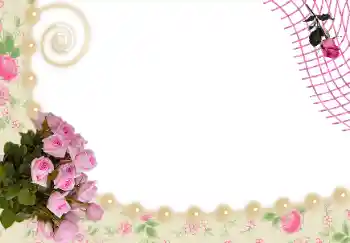 범주에서의 사진 효과 여성 프레임 № 24536