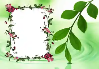 범주에서의 사진 효과 여성 프레임 № 24558