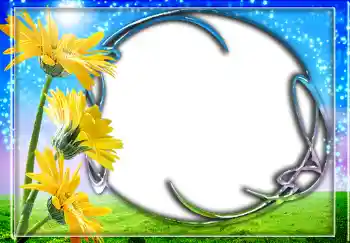 범주에서의 사진 효과 여성 프레임 № 246