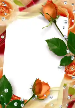 범주에서의 사진 효과 여성 프레임 № 249