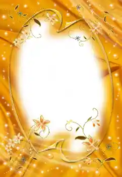 범주에서의 사진 효과 여성 프레임 № 25446