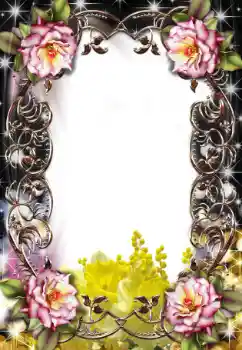 범주에서의 사진 효과 여성 프레임 № 25479