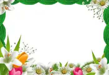 범주에서의 사진 효과 여성 프레임 № 25508