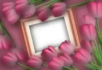 범주에서의 사진 효과 여성 프레임 № 2610