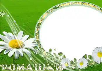 프레임에 비문: Ромашки.