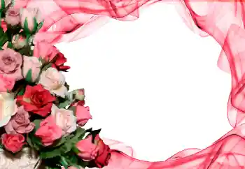 범주에서의 사진 효과 여성 프레임 № 26416