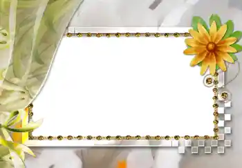 범주에서의 사진 효과 여성 프레임 № 264