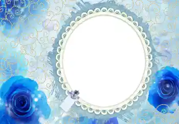 범주에서의 사진 효과 여성 프레임 № 26571