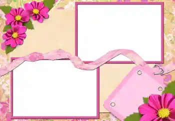 범주에서의 사진 효과 여성 프레임 № 26576